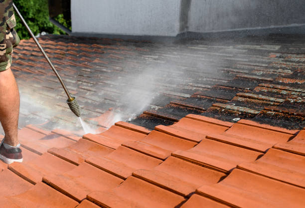 Best Roof Pressure Washing  in Euclid, OH